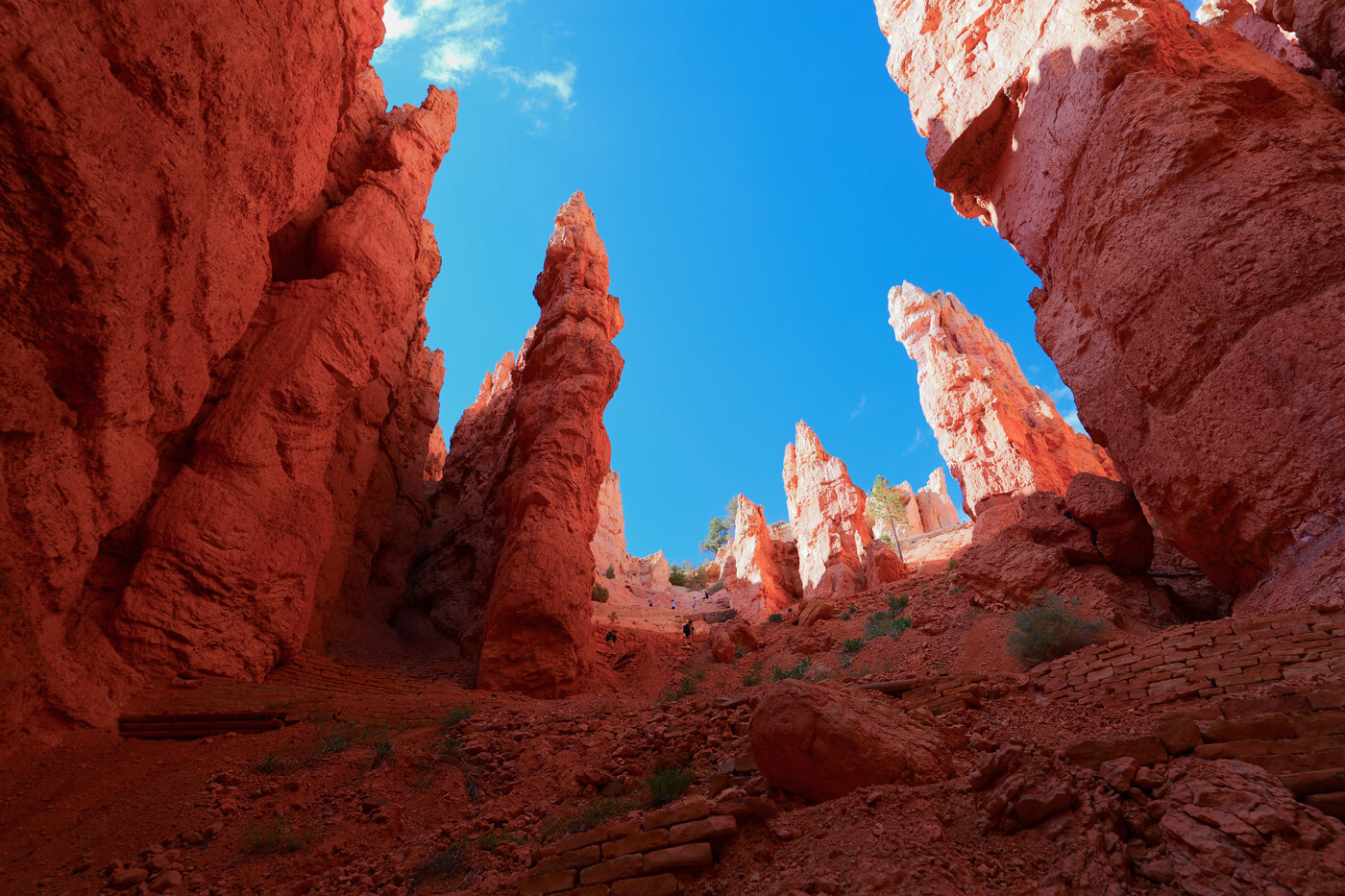Bryce Canyon, hoodoos from below