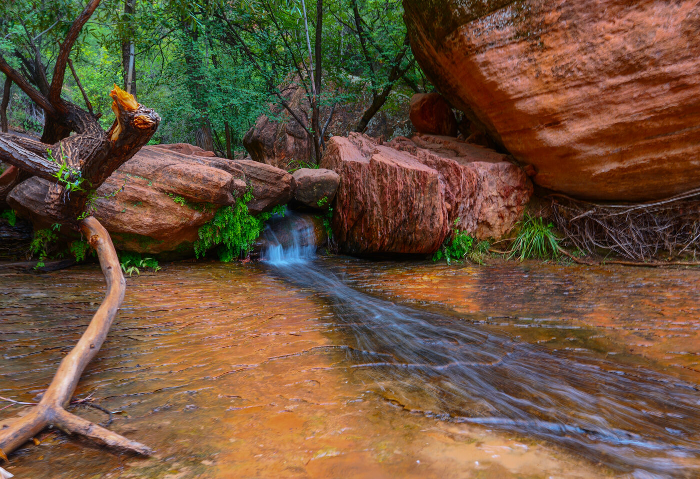 Zion, stream through red boulders