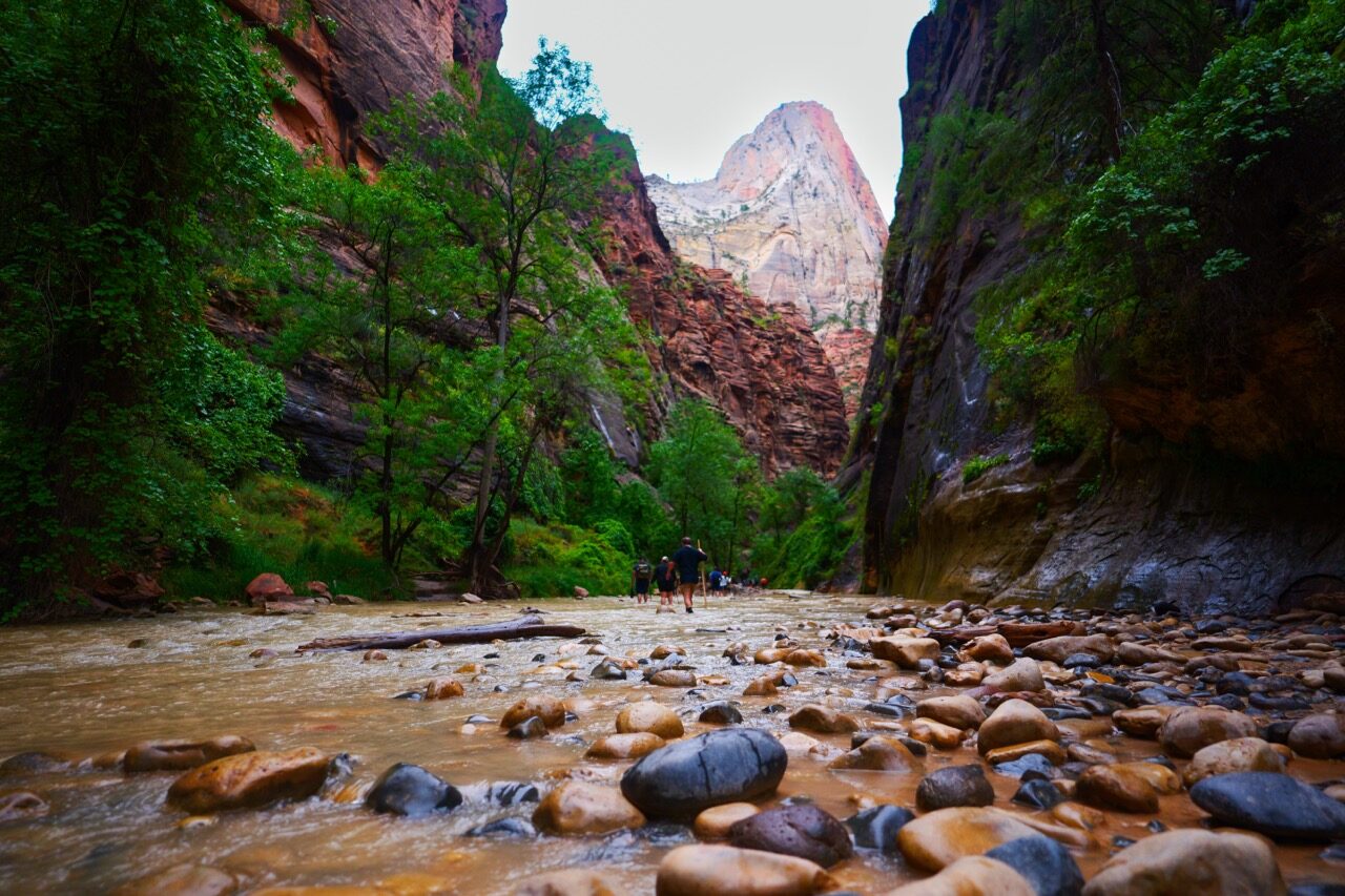 Zion Narrows, wading the Virgin River