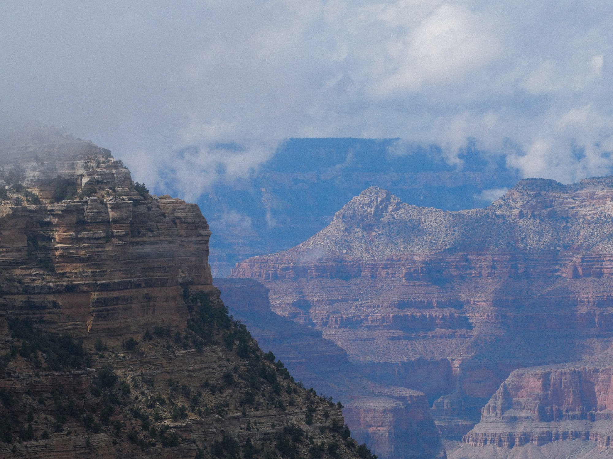 Grand Canyon, layered cliffs in fog